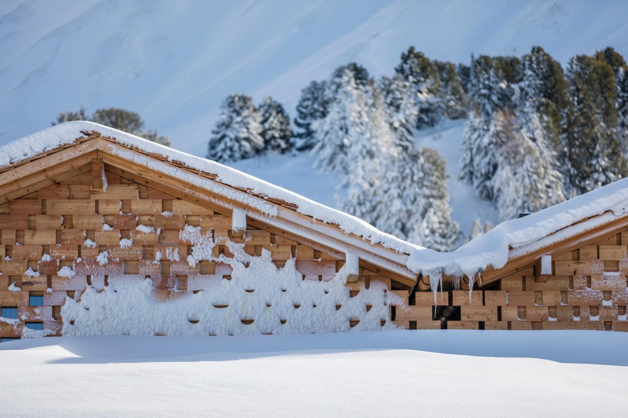 Zallinger Dolomites Alpe Di Siusi Exterior foto